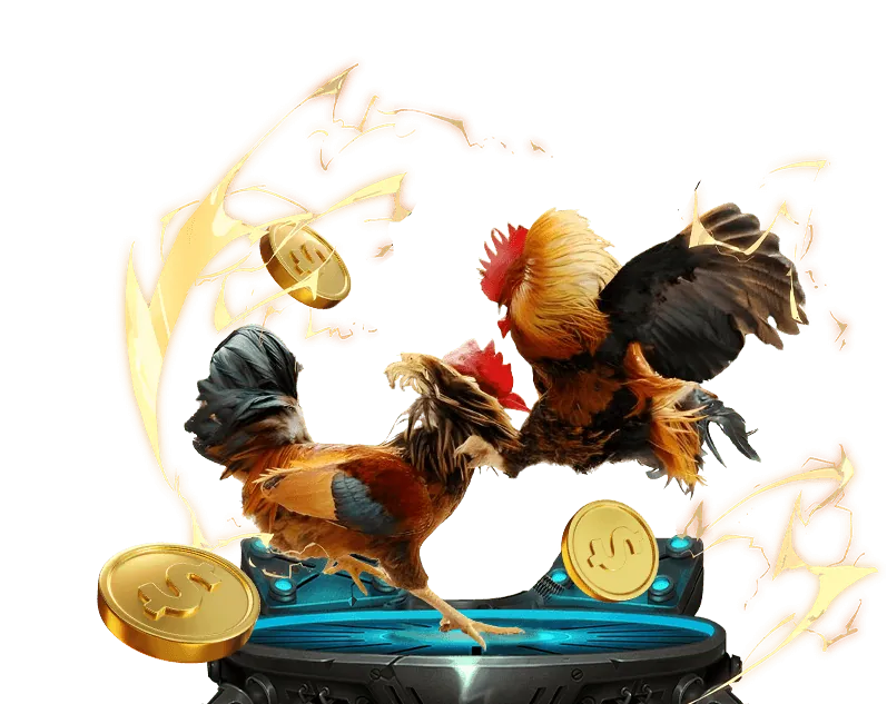 Trò chơi đá gà trực tuyến kịch tính tại Hi88, phát sóng trực tiếp từ các trường gà lớn.